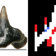 Left: One of the tiny fossilized teeth of Galagaon. Right: The Galaga starfighter.